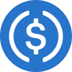 USDC Logo